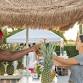 Suncoast Largest Food Truck Festival 8