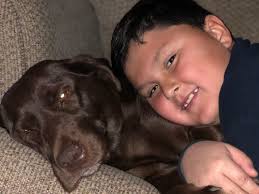 Fundraiser by Sidney Silvers : Remi Needs Surgery!