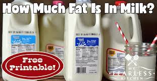 How Much Fat Is In Milk My Fearless Kitchen