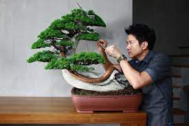 Magnesium plays a big role in the photosynthesis process because it is a building block of chlorophyll, which. The Great Wave Off Kanagawa Bonsai Empire