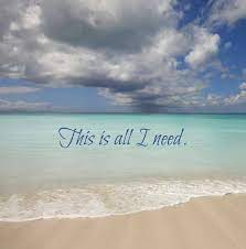 In A Perfect World Ocean Beach Beach Life