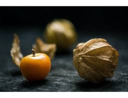 Image result for z p%u0159ednice jedovat 