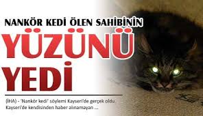 Kedim Gozumun Onunde Can Verdi