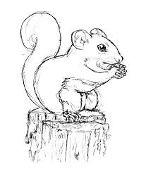Squirrel coloring pages for kids. Free Printable Squirrel Coloring Pages For Kids
