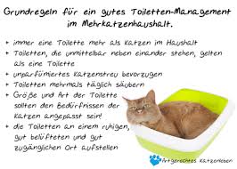Wenn ihre katze also die angewohnheit entwickelt, auf das sofa zu pinkeln oder andere unpassende stellen zu markieren, ist die geruchsbelästigung enorm. Katze Pinkelt Auf Einmal Auf Die Neue Couch Gesundheit Und Medizin Tiere Katzen