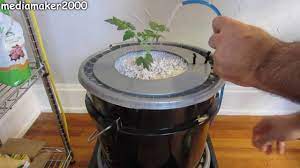 Single Dutch Bucket Hydroponic System Easy Diy Patio Balcony Winter Gardening Youtube