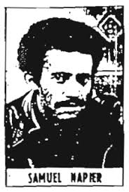 lest we forget safiya a. bukhari