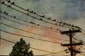 Easy Birds On A Wire Painting Birds On Wire Watercolor Print Telephone Pole Painting Bird Wall Art Watercolor Birds Finches Picture Watercolor Bird Watercolor Sunset Watercolor Pictures