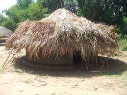 How to repair a thatch roof. Acholi Traditional Grass Thatched Hut Closer Than Your Breadth