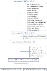 flow chart of bacteremic urinary tract infection included in