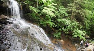 Whether it's a love for culture, history, or pure fun, you're more than welcome to go on yoga retreats in virginia. Das Isha Institute For Inner Sciences Eine Auszeit Mit Yoga Mediation In Wunderschoner Natur Visittheusa