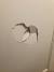 Big Hole In Plaster Wall