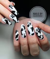 Black And White Cow Print Acrylic Nails Cow Patterned Nails Are Super Popular Try These Fun Designs Cow Nails Animal Nails Nails