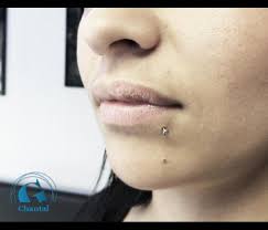 Loose ends, rings, barbells, labrets, circulars & curves. Piercing Labret Graphicaderme