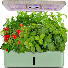 Check spelling or type a new query. 6 Best Indoor Vegetable Garden System Reviews 2021 Bioexplorer Net