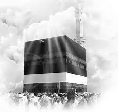 شركة الرحلة المباركة المحدودة حج 1441 هـ