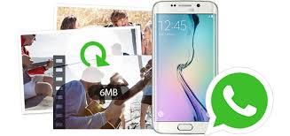 Search for what you need. The Best Way To Recover Deleted Whatsapp Data On Android