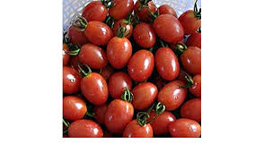 Maybe you would like to learn more about one of these? Amazon Com Sugar Plum Hybrid Tomato Seeds Excellent Crop Of Large Red Clusters 10 Seeds Garden Outdoor