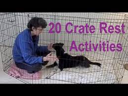 Crate training games are an excellent way to crate train your puppy or new dog. Crate Rest Activities For Dogs After Back Hip Leg Injuries Acl Or Tplo Heartworm Treatmentetc Youtube