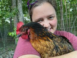 I have a hen who we brought inside suffering from impacted sour crop. The  impaction has cleared up. So we've been treating the sour crop. So we  started the treatment and feeding