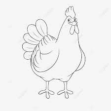 痞子英雄 / pi tzu ying hsiung (pi zi ying xiong). Chicken Clipart Black And White Chicken Smart Animation Png Transparent Clipart Image And Psd File For Free Download