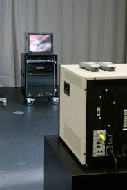 Bildergebnis für Dorit Margreiter