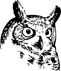 Download Great Owl Clip Art 128300 Free Svg Download 4 Vector