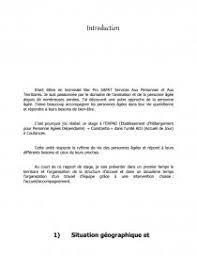 Rapport De Stage Ehpad Constantia Rapport De Stage Romanepgn