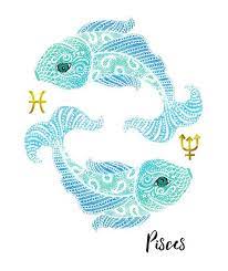 Pisces Fish Aquarius Constellation Tattoo Horoscope Pisces Aquarius Constellation
