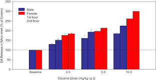 Kúka) is a tropane alkaloid and stimulant drug obtained primarily from the leaves of two coca species, erythroxylum coca and erythroxylum novogranatense. Cocaine An Overview Sciencedirect Topics