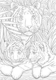 Colorings for adults is a great way to take care of yourself and calm down. Pin On Coloring Book