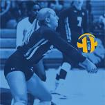 Lions Volleyball vs UIW