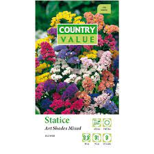 Country Value Statice Art Shades Flower Seeds Shade Flowers Flower Seeds Flowers