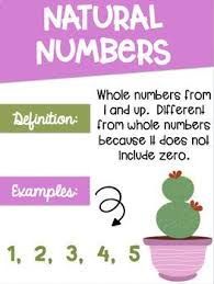 Types Of Numbers Posters Middle School Math By The 5th Grade Renegade Teachers Pay Teachers In 2020 Middle School Math Math Middle School