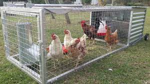 Cara membuat kandang ayam dengan kawat. Cara Membuat Kandang Ayam Dari Kawat Ram Tentang Kolam Kandang Ternak