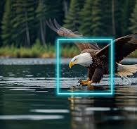 US Large Cap Growth Equity Fund | T. Rowe Price
