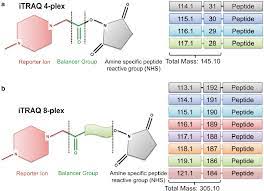 Itraq is a truly wireless device. Chemical Structures For Itraq A 4 Plex And B 8 Plex Isobaric Download Scientific Diagram