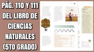 Check spelling or type a new query. Pag 110 Y 111 Del Libro De Ciencias Naturales Quinto Grado Youtube