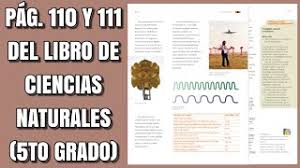 1, 2, 3, 4, 5, 6, 7, 8, 9, 10 grado de básico. Pag 110 Y 111 Del Libro De Ciencias Naturales Quinto Grado Youtube