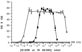 Growth hormone is a small protein made in part of the brain called the pituitary gland. G120r A Human Growth Hormone Antagonist Shows Zinc Dependent Agonist And Antagonist Activity On Nb2 Cells Journal Of Biological Chemistry