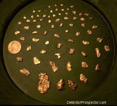 Small hidden metal objects can be detected in high. First Gold Nugget With A Metal Detector 1973 1989 Steve S Mining Journal Detectorprospector Com