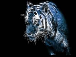 If you're looking for more backgrounds then feel free to browse around. 49 3d Tiger Wallpaper On Wallpapersafari