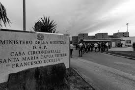 Dirigente amministrativo del tribunale di santa maria capua vetere. X8lgm04f1y D2m