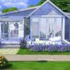 Sims 4 tiny home blueprint : 1
