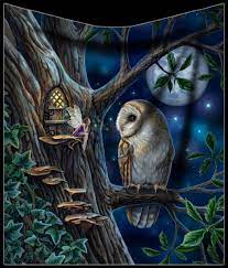 0.6 cm full color all over print; Fleece Blanket With Owl Fairy Tales Lisa Parker Www Figuren Shop De