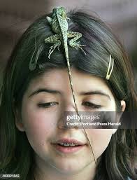 13 Mariello Stock Photos, High-Res Pictures, and Images