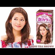 New Bubble Hair Color Kit Rose Tea Brown Color Kit Hair Color Kit Rose