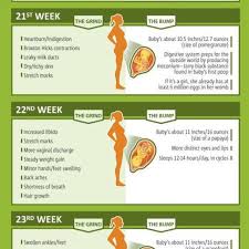 Pregnancy Week By Week Chart Baby Pregnancy Chart 26