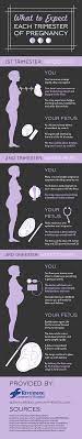Pin On Health Infographics