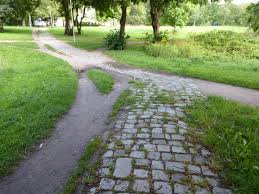 Angeboten werden kann alles, über den preis kann man dann ja verhandeln. Rostock Wanderweg Dierkower Moorwiesen Und Wege Im Kringelgrabenpark Werden Ab Mitte Juli Saniert